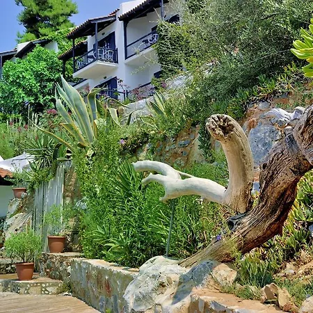 Resort Adrina Panormos (Skopelos)