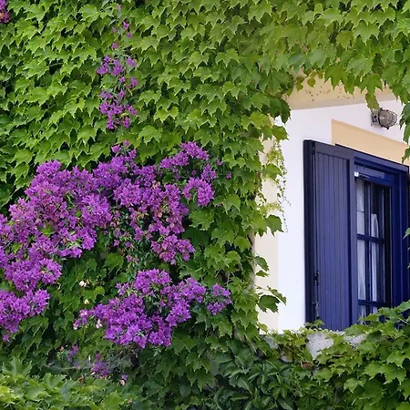 Adrina 4* Panormos (Skopelos)
